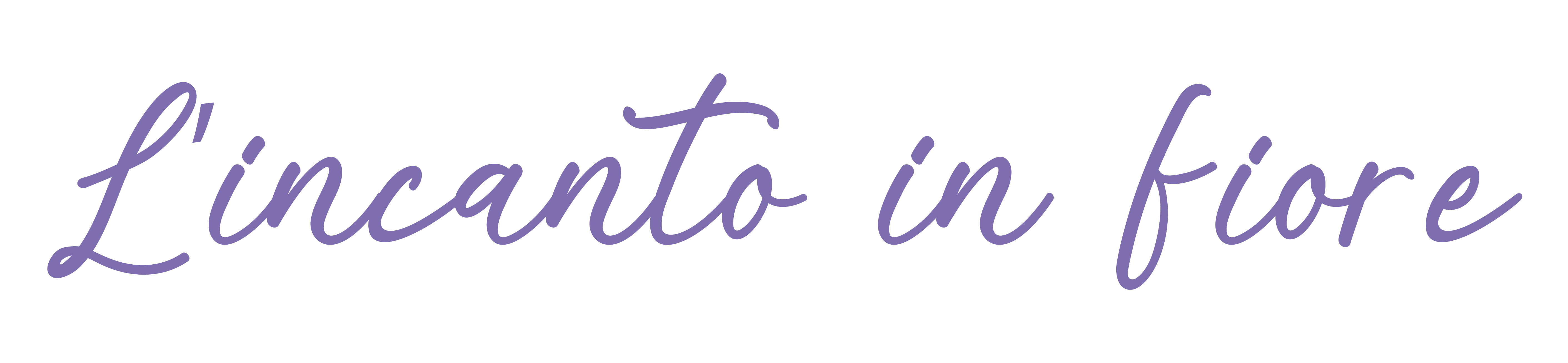 logo main